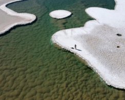 В аргентинской пустыне обнаружили доисторический «затерянный мир»