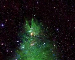 NASA показало скопление молодых звёзд в форме новогодней ёлки